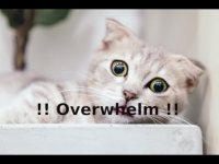 !! Overwhelm !! !! Overwhelm !!