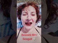 Beware Mrs Seagull Attack โ ๏ธ Beware Mrs Seagull Attack โ ๏ธ